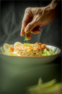 Foodchain Asian Flex Vertical 1