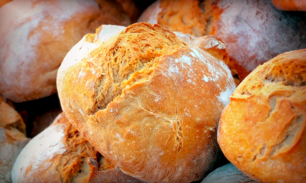 Foodchain Bread and Wheat Types Media