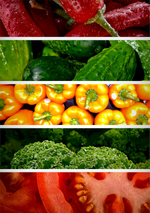 Foodchain Veggies Flex Left Column 1
