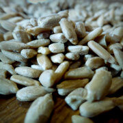 Foodchain Seeds Powder Flex Square 3